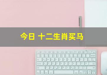 今日 十二生肖买马